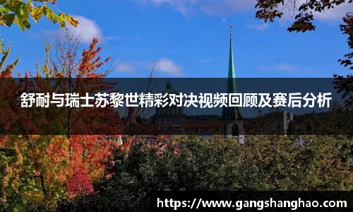 舒耐与瑞士苏黎世精彩对决视频回顾及赛后分析